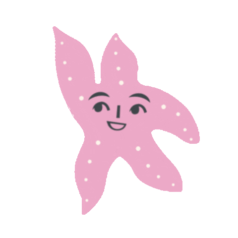 Star Estrella Sticker by Catalina Williams