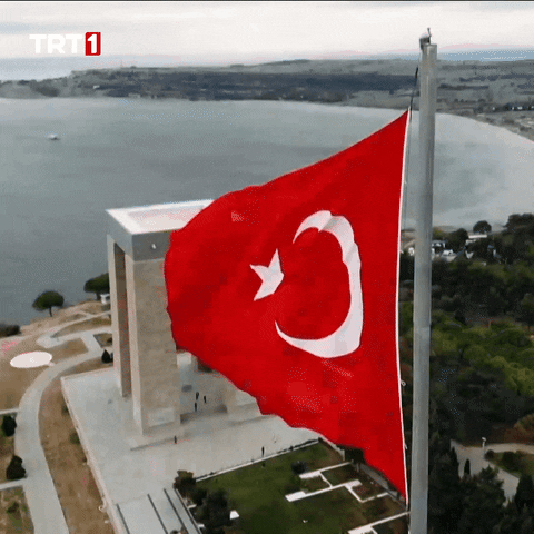 Turkey Turkish GIF by TRT