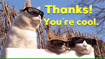 Cats Thank You GIF by Nebraska Humane Society