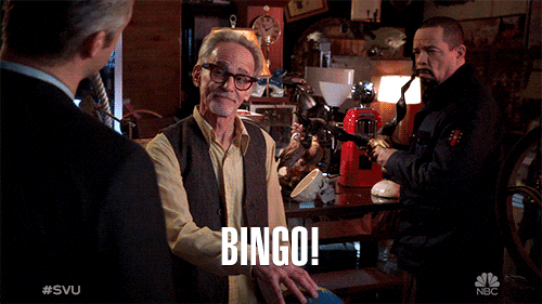 episode 12 nbc GIF by SVU
