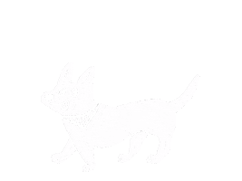 Fun Sticker