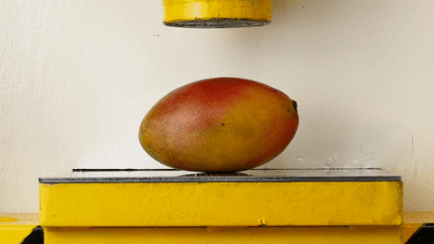 Csuper Mango GIFs - Get the best GIF on GIPHY