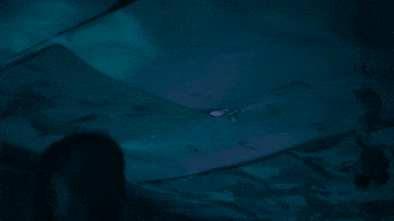 Fomdj GIF by Playboi Carti