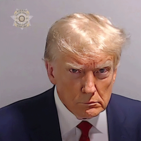 Donald Trump Deal With It GIF by Justin Gammon