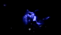 Love Of My Life Queen Gif Find Share On Giphy Love Of My Life Queen Gif Find Share On Giphy