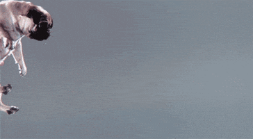 200.gif