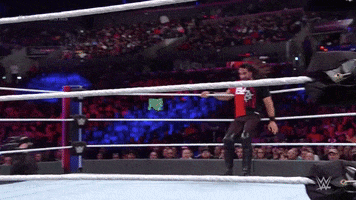 flying seth rollins GIF by WWE