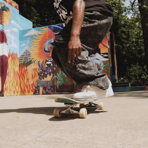 Art Skating GIF by Pizza Skateboards