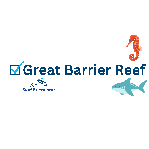 Reef Experience Sticker