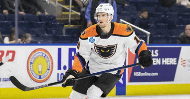 ice hockey deal with it GIF by Lehigh Valley Phantoms