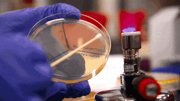 Lab Research GIF by College of Natural Sciences, UT Austin