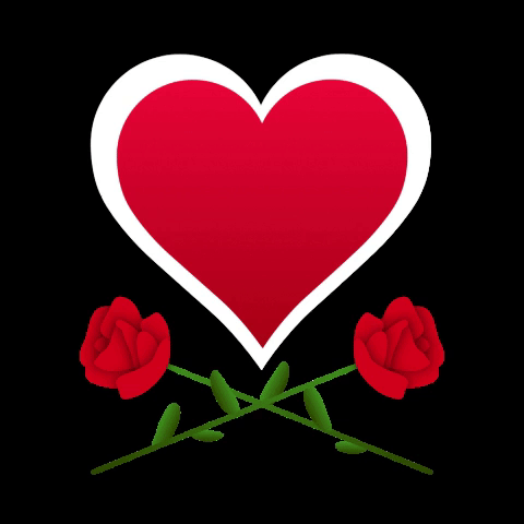 Red Roses Love GIF