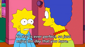 The Simpsons Yolo GIF by AniDom
