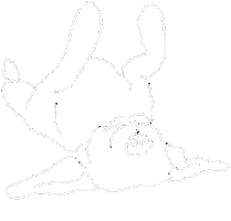 Dog Hund Sticker by Armyfordogs