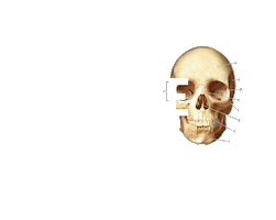 Kaplan Test Prep Sticker by Kaplan