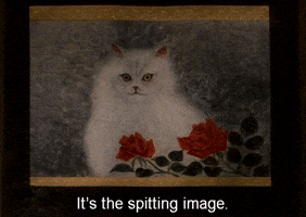 200.gif?cid=fc005b08e07fbdbb6140a6492b3bdaab8d6b0289c177ec18&rid=200.gif&ct=g