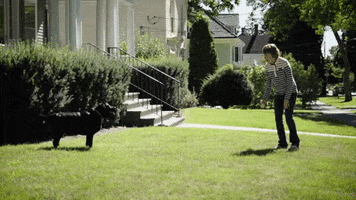 Susan Collins GIF