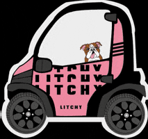 Dog Pink GIF by Litchy