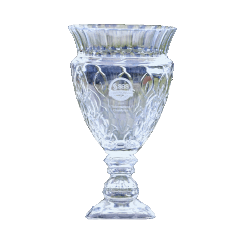 SAS Championship Sticker