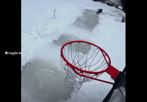 Blake Harms GIF
