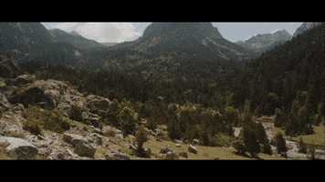 200.gif?cid=fc005b088a88c499012825d40e63a2b4882ff97a761394df&rid=200.gif&ct=g