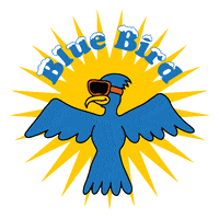snowboarding blue bird GIF by quiksilver