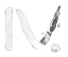 Iv Sticker