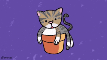 Cat Animation GIF by Tofu Riot