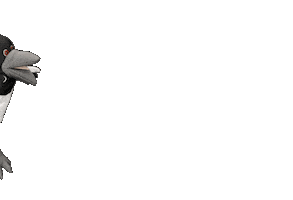 Maggiemagpie Sticker by Steve and Maggie