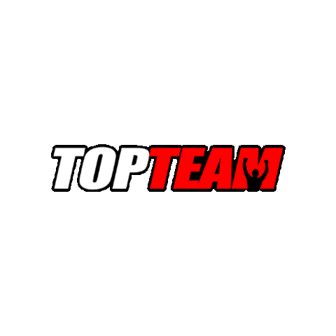 Top Team Sticker
