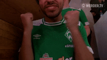 fifa champion GIF by SV Werder Bremen