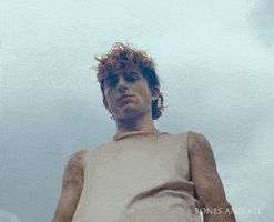 Timothee Chalamet Lee GIF by Bones and All