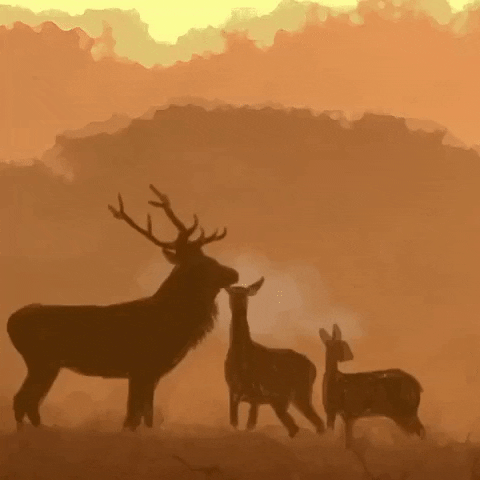 deer GIF by molehill