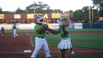 star wars ozzie t cougar GIF by Kane County Cougars
