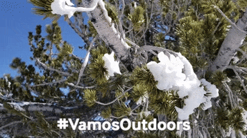 leave no trace snow GIF by Latino Outdoors