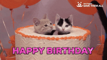 Save Them All Happy Birthday GIF by Best Friends Animal Society