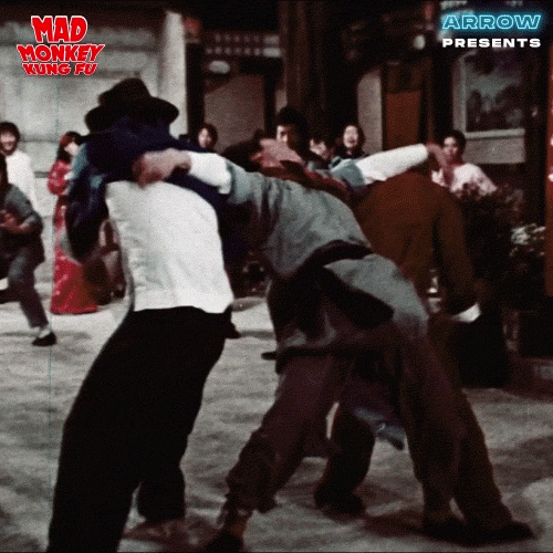 Lets Go Fighting GIF by Arrow Video