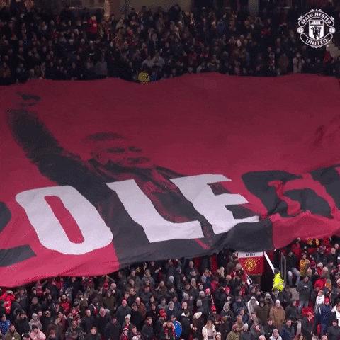 Old Trafford Sport GIF by Manchester United