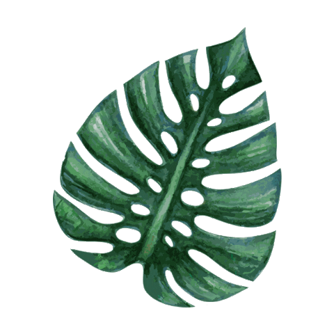 Good Vibes Island Sticker