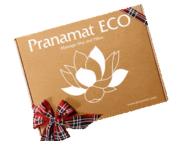 Pain Relief Christmas Sticker