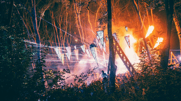 Festival Techno GIF