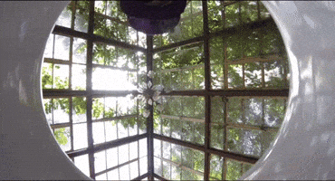 Alice In Wonderland Punk GIF by Marquis of Vaudeville