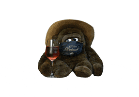200.gif?cid=fc005b085e1ba1fbe3ef4c489fd7b2ae0f32976ea36c979e&rid=200.gif&ct=g