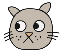Awkward Cat GIF by Thank You Coffee
