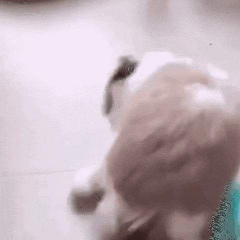 Thatoriginalchiggerboy Sticker GIF