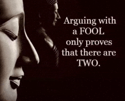 Arguing With A Fool Only Proves That There Are Two GIF