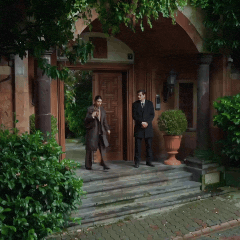 Rojbinerden GIF
