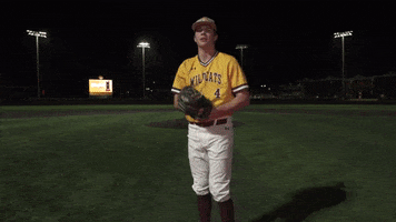 College Baseball GIF by Pearl River Athletics
