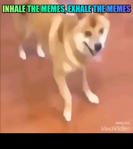 Doge Meme Machine GIF
