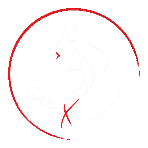 Sticker by CAPAX... tanec na MAX